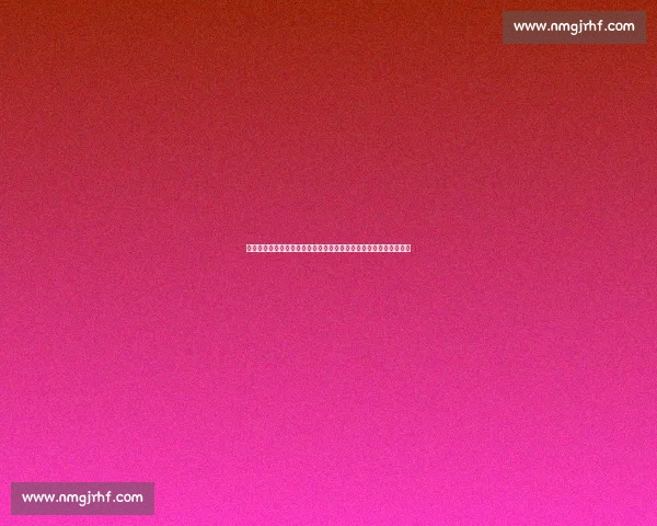 以风险规避为核心的系统化决策与稳健发展路径研究构建与实践探索