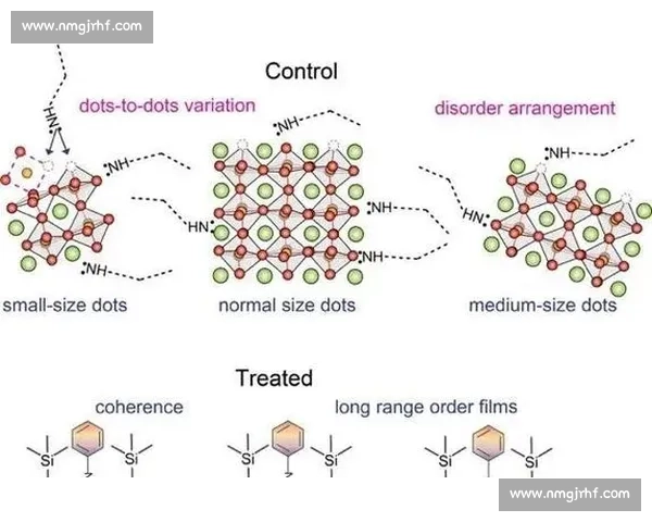 全面解析实战策略与战术运用提升作战效率的指南